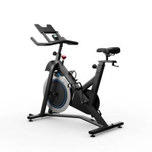 Horizon 5.0IC Indoor Cycle [ONLINE EXCLUSIVE]